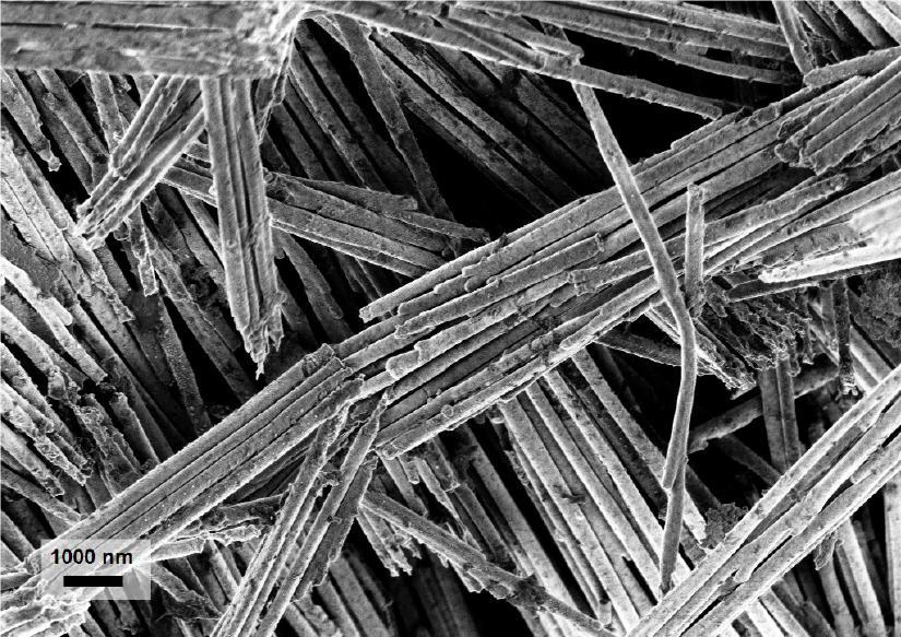 Procedure Additional Activity (optional) Figure 3: An FE-SEM image of nickel nanowires. You can prepare samples that were electrodeposited for various times (e.g., 15, 20, 25, 30, 35, 40 minutes).