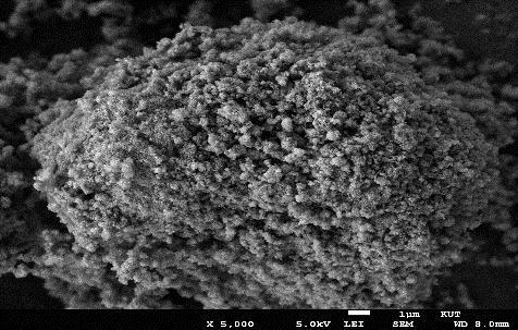 The analysis of specific surface area composition The specific surface was observed by SEM for the samples prepared with respect
