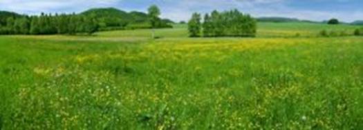 Maintenance of the existing permanent grassland To conserve soil carbon & grassland