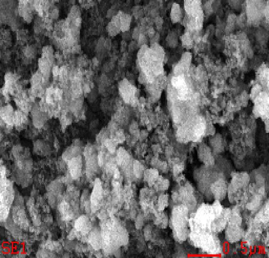 SEM images and Mg mapping, as well