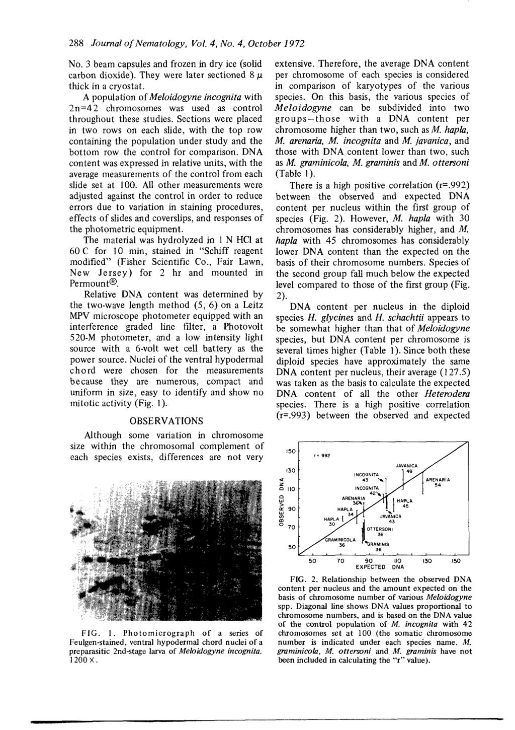288 Journal of Nematology, VoL 4, No. 4, October 1972 No. 3 beam capsules and frozen in dry ice (solid carbon dioxide). They were later sectioned 8/x thick in a cryostat.