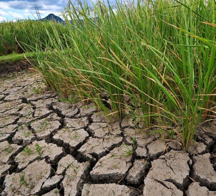 GWP and WMO under Integrated Drought