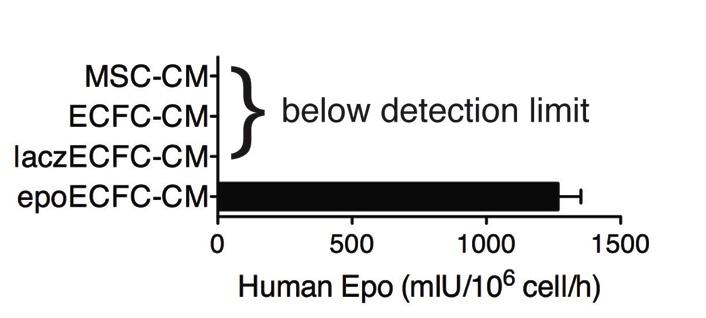 Figure S2. Release of EPO into conditioned media.