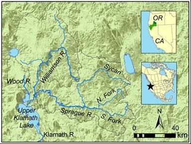 Upper Klamath River Basin Heavily influenced by agriculture Abundant natural