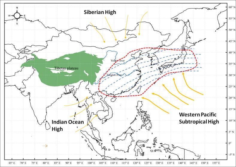 Large C uptake in subtropical forest ecosystems in the East Asian