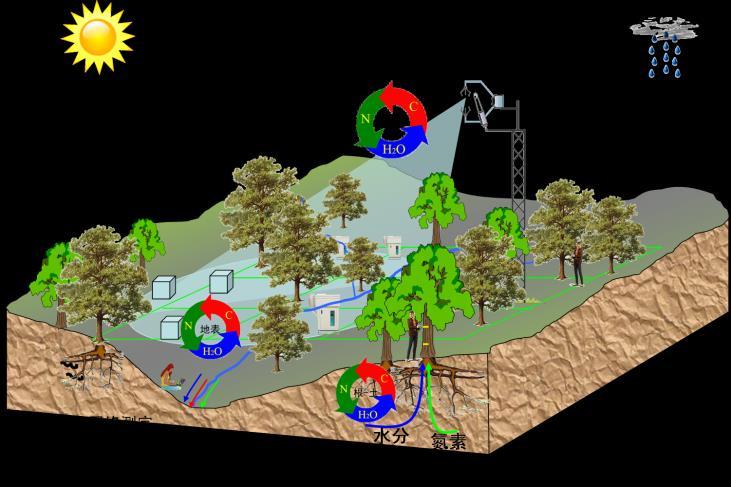 构建生态系统碳氮水协同观测与联网控制实验系统