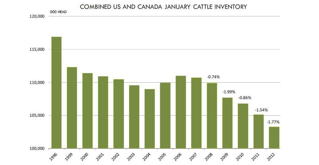 North American cattle supplies continue