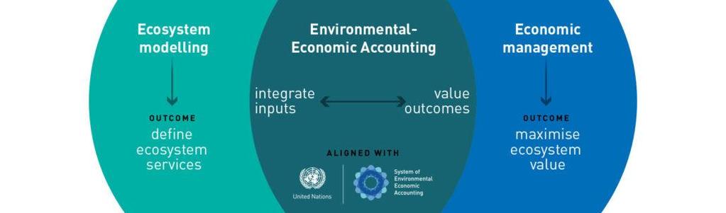 To support this analysis SEEA provides standardised definitions for: environmental protection and resource management activity the environmental goods and services sector (EGSS) environmental taxes