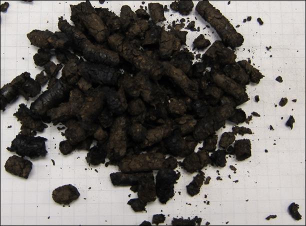 Fuel Evaluation Internal program to evaluate upgraded biomass pellets since 2010.