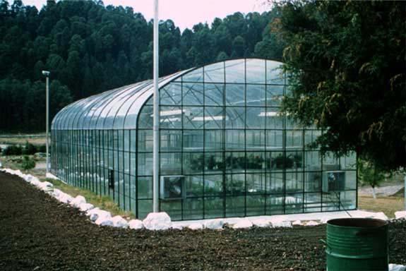 Geothermal Greenhouses use geothermal energy to enhance