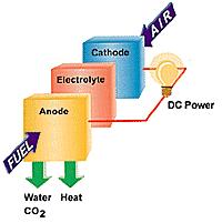Fuel Cells Release electrons in reaction of hydrogen and oxygen Does not release