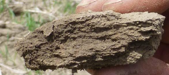 compaction & erosion Porosity: more root exploration,