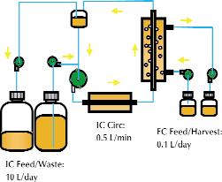 Figure 2: Hollow-fiber bioreactor schematic and typical support for a 160-mL bioreactor. Cells are placed outside the fibers of the hollow-fiber bioreactor. Medium is circulated at 0.