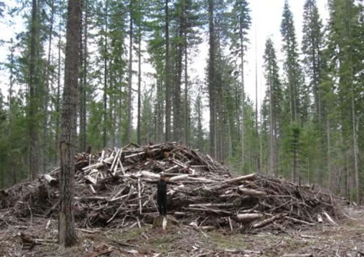 Forestry residues are a valuable resource Forest biomass can help the US meet