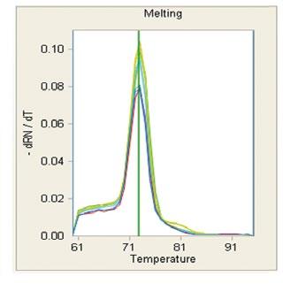Real-Time PCR Analysis Software n Standard curve view allows you to easily calculate the standard curve by identifying dilution samples n Delta delta C t