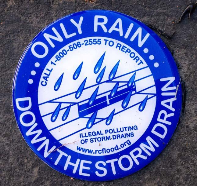 Down the Storm Drain signs