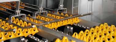 Based on the daily volume, we provide grading and labour saving machinery to quickly, efficiently and carefully process the eggs according to your specific needs.