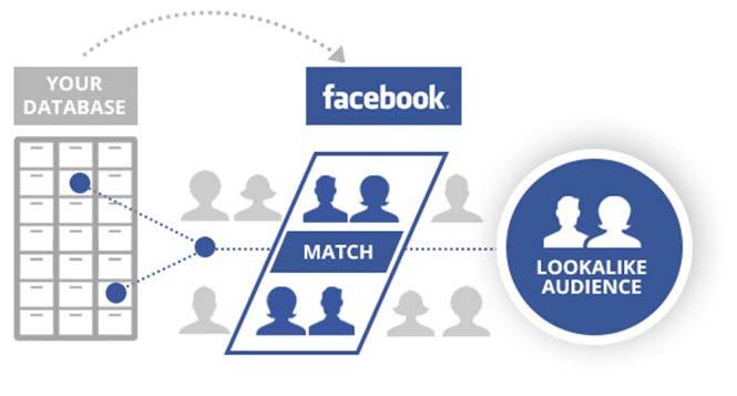 Social Ads Audience