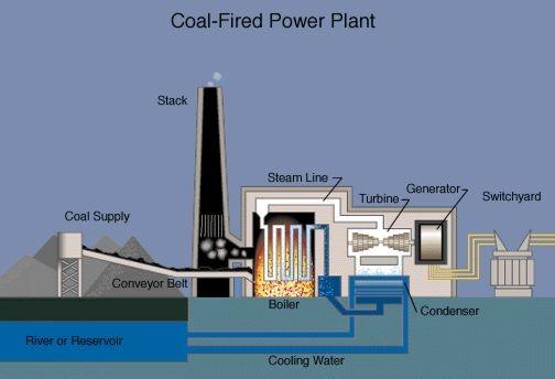 Typical Coal Fired