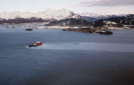 coastal marshes Exxon Valdez Ocean Pollution Oil Spills 1989 Exxon Valdez Prince William Sound, Alaska 37