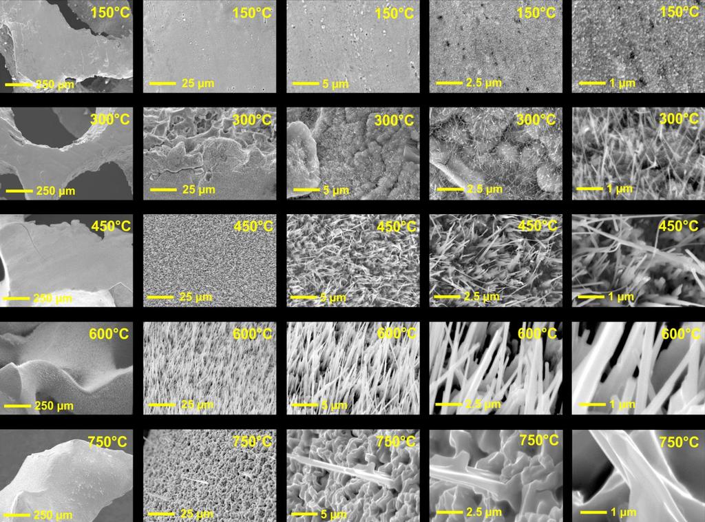 Figure S8. SEM inspection of the Cu skeleton catalysts after anneal for 12h at various temperatures (prior to CO 2 RR). Figure S9.
