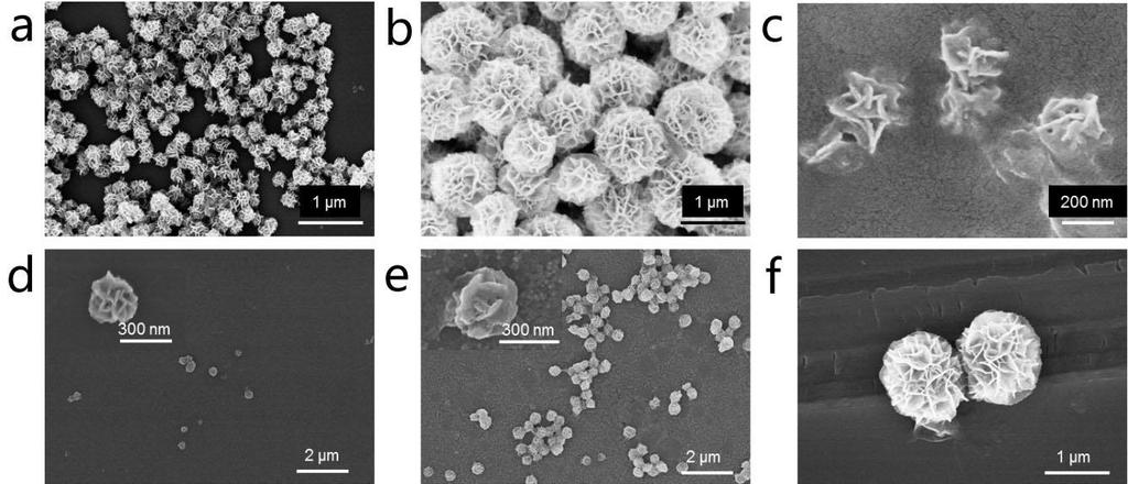 Supplementary Figure 4 Exceptional stability of NFs. (a c) SEM images of NFs treated with DNase I (a, b, 5 U/mL) and human serum (c, 10% diluted) for 24 h at 37 C.