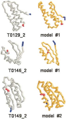 Each protein structure was reduced to a linear template for threading, consisting of a list of phi/psi and chi1 bins, the secondary structure (turn, helix, or strand), the number of neighboring CB
