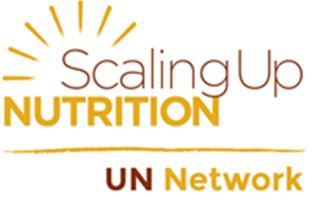 UN Regional Nutrition Meeting Asia Pacific Strengthening UN joint country support for improved nutrition Bangkok, 29 30 June 2015 Presentation of group work in Plenary Participants discussed in small