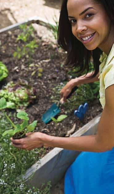 Working in the Garden or Yard Chemicals, like pesticides, can pollute the soil. Polluted soil can affect the food you grow and eat. Polluted soil can also spread through the air as dust particles.