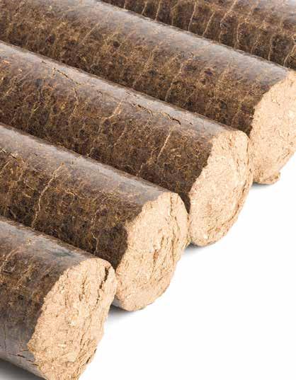 Wood briquettes Premium Briquettes Our Premium Briquettes. Manufactured by oak they are able to reach a maximum burning time keeping a perfect calorific value.