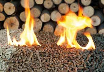 The most popular fuel in the class of renewable energies is wood and its derivatives.