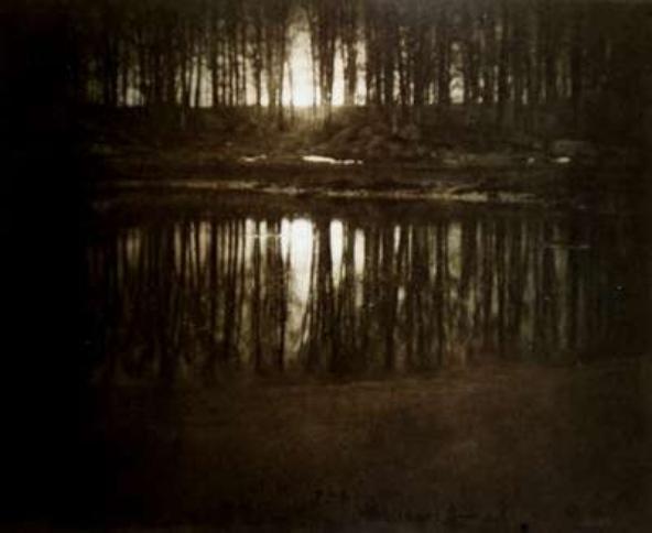 Edward Steichen: photographer in the 1920 s Steichen s hobby was horticulture.