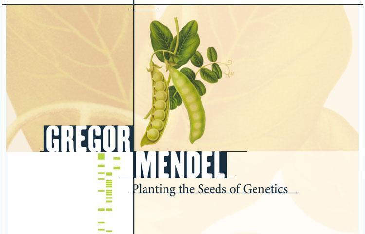 Gregor Mendel (left), in the 1850s made the first observation that plant traits are inherited.