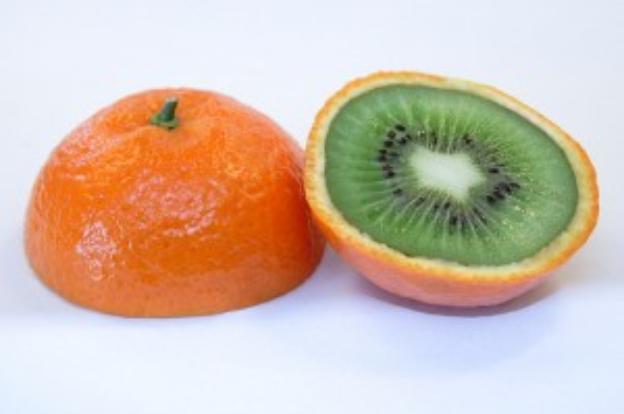 Genetically Modified Foods or Genetically