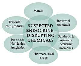 Endocrine Disrupting Compounds (EDC) Endocrine system -- a complex network of glands and hormones that regulates various