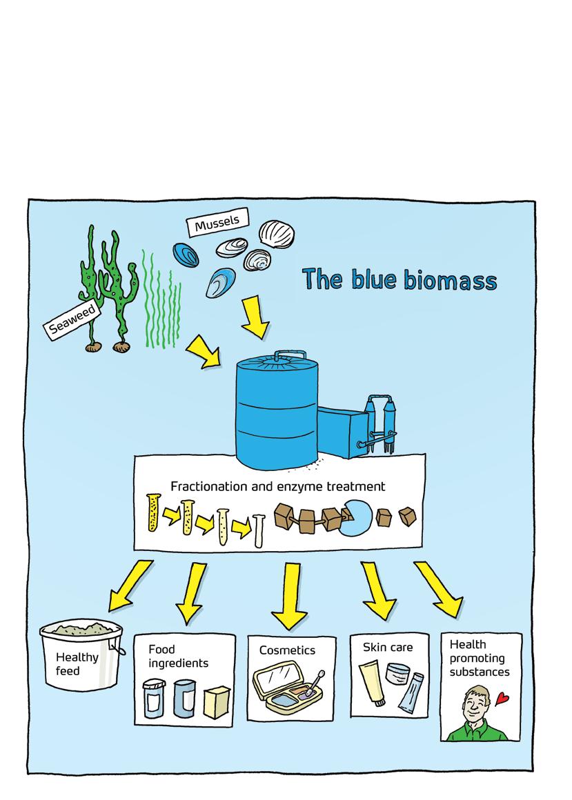 In the future, marine biological resources will be used for much more than fishing. Here, focus is to make the use of marine biomass both environmentally friendly and smart.