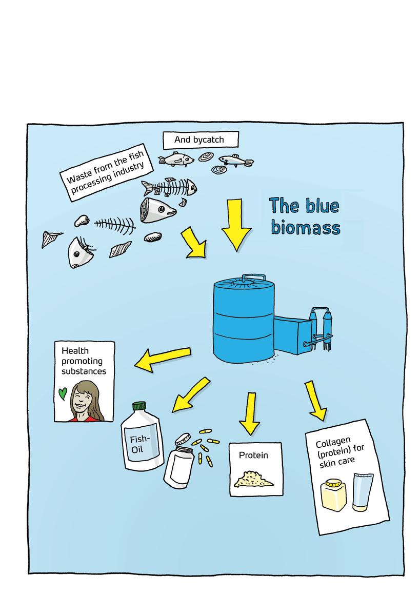 The illustration on the left-hand side shows the wealth of biological resources existing in the sea, and their potential to be transformed into healthy and valuable products.