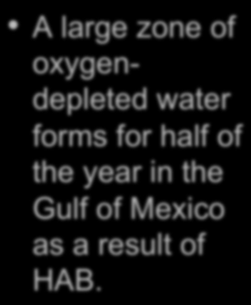 Oxygen Depletion in the Northern Gulf of