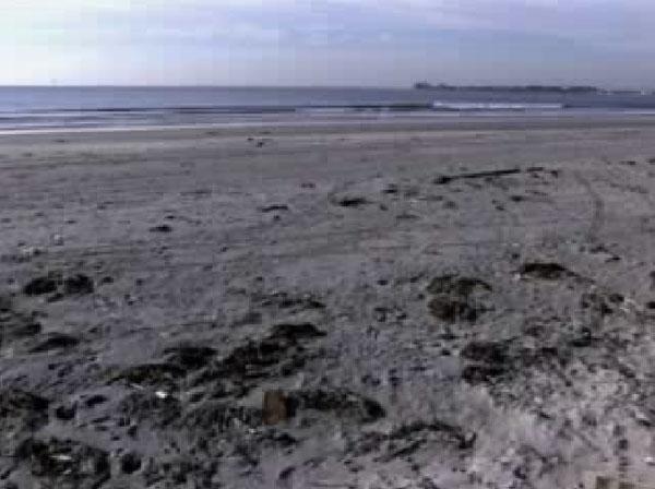 Video: Beach Pollution PLAY VIDEO From ABC News,