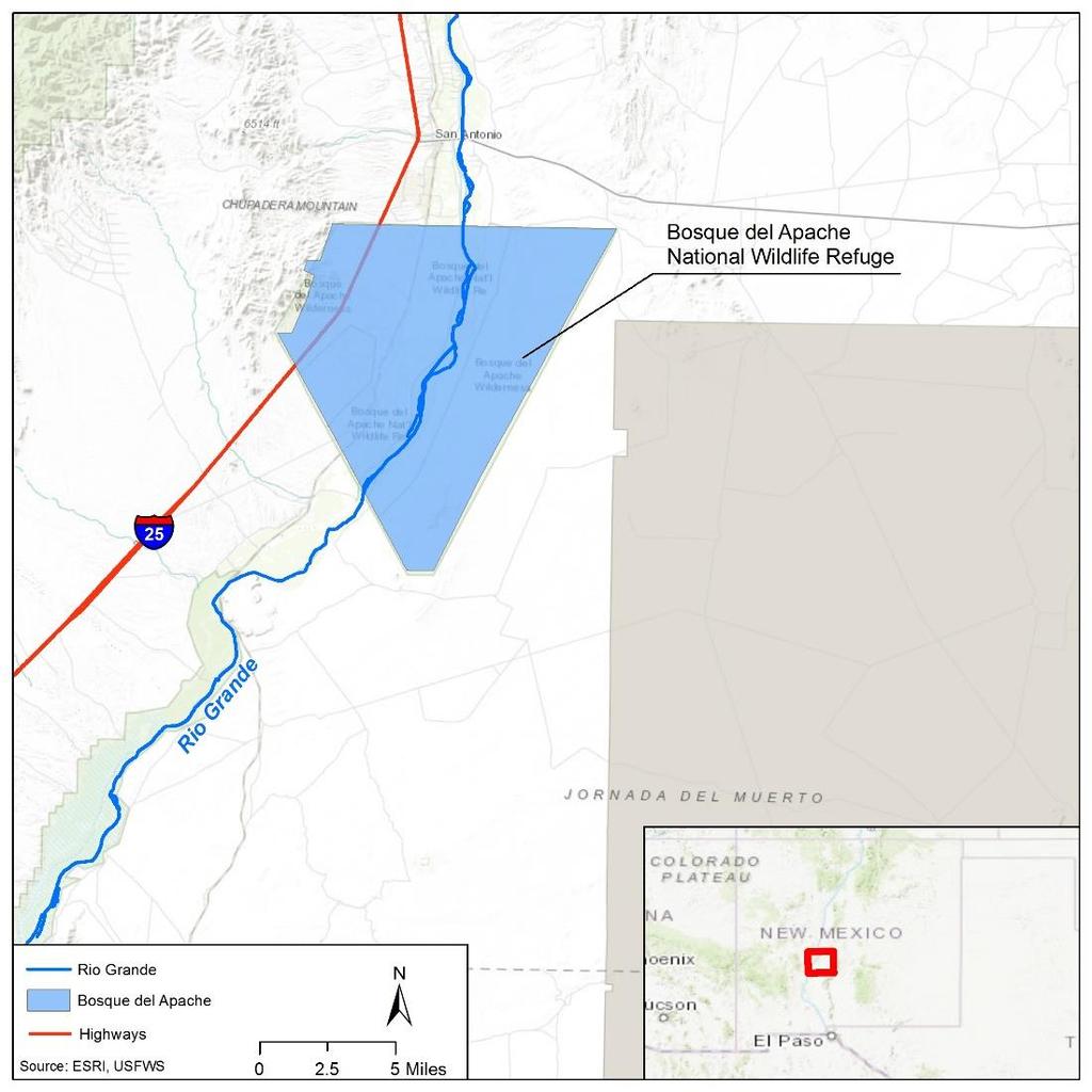 Case Study 1 Bosque del Apache Background Bosque del Apache National Wildlife Refuge in New Mexico serves as habitat for