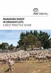 Managing Sheep in Droughtlots: A best practice guide based on sheep producers experience managing sheep in confined areas during drought.