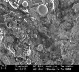 The Figure-1(a-d) shows the SEM Microphotographs of Un coated and B 4C Coated Steel Substrates.