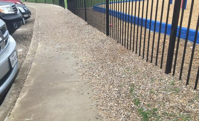 and displaced playground wood chips -