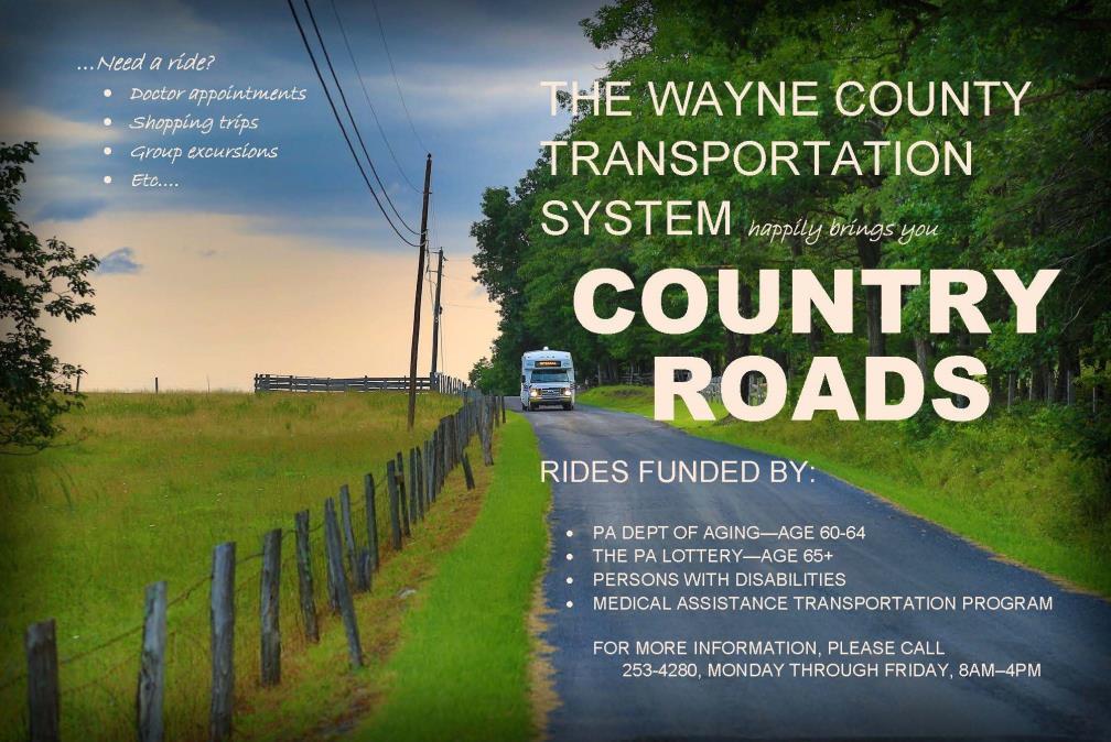 System Wayne County