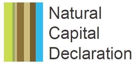 Natural Capital Decalaration (2012-) Embedding natural capital into financial products and services Working towards natural capital accounting and disclosure Recent outputs e.g. Bank/investor policy tool for managing deforestation risk in soft commodity supply chains Future work e.