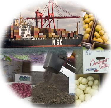 Import Rejections of Agricultural and Food