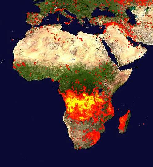 European sink and African biomass burning