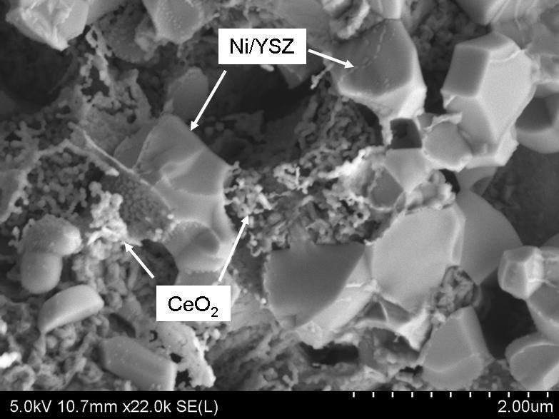 that of the Ni/YSZ particles (see Figure 5.16), the CeO 2 nano-structures significantly enhanced the TPB length.