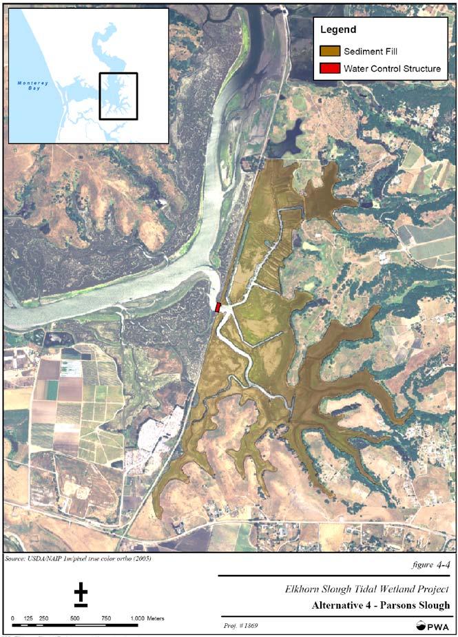 Restoration of Parsons Slough: Unlike construction of a new ocean inlet or a tidal barrier at the Highway 1 bridge, the PWA report found that a restoration alternative in Parsons Slough would not