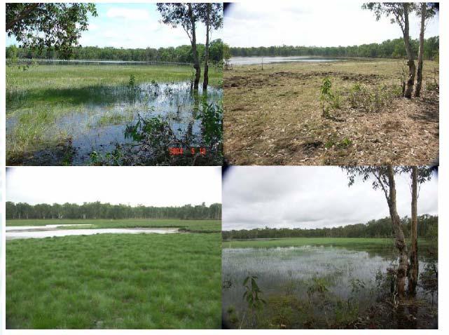 WSUD IN DARWIN STORMWATER Size of stormwater treatment systems larger than temperate regions to treat same proportion of annual volumetric runoff Storages for reuse - size